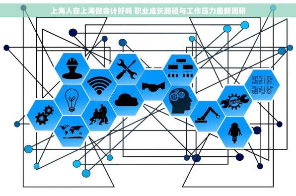 上海人在上海做会计好吗 职业成长路径与工作压力最新调研