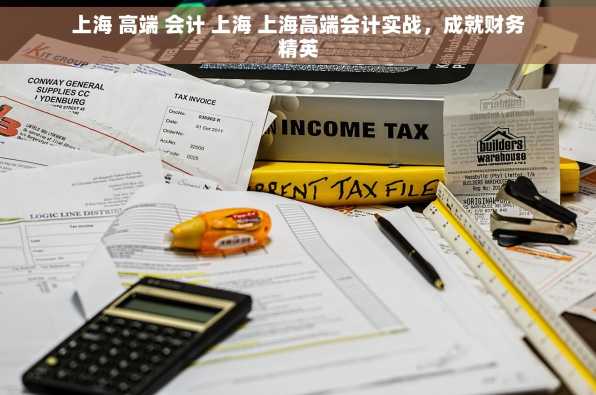 上海 高端 会计 上海 上海高端会计实战，成就财务精英