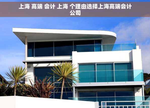 上海 高端 会计 上海 个理由选择上海高端会计公司