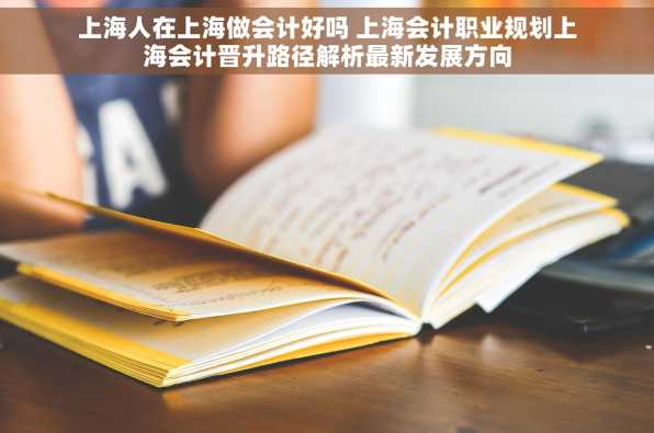 上海人在上海做会计好吗 上海会计职业规划上海会计晋升路径解析最新发展方向
