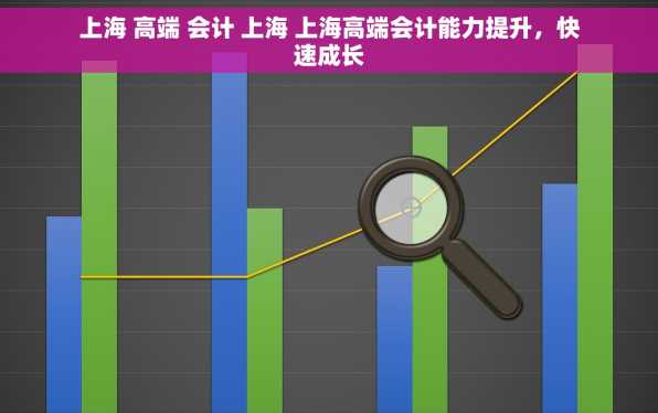 上海 高端 会计 上海 上海高端会计能力提升，快速成长