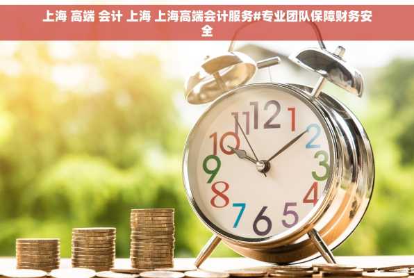 上海 高端 会计 上海 上海高端会计服务#专业团队保障财务安全