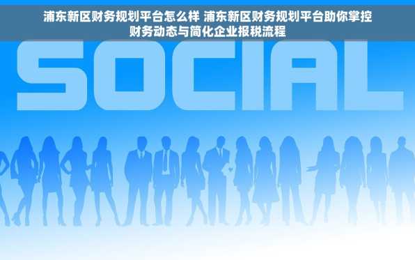 浦东新区财务规划平台怎么样 浦东新区财务规划平台助你掌控财务动态与简化企业报税流程