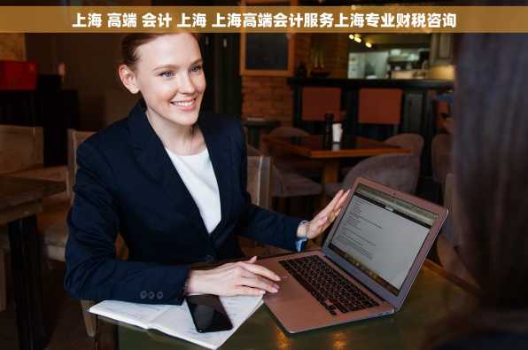 上海 高端 会计 上海 上海高端会计服务上海专业财税咨询