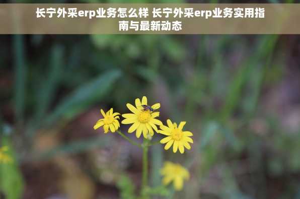 长宁外采erp业务怎么样 长宁外采erp业务实用指南与最新动态