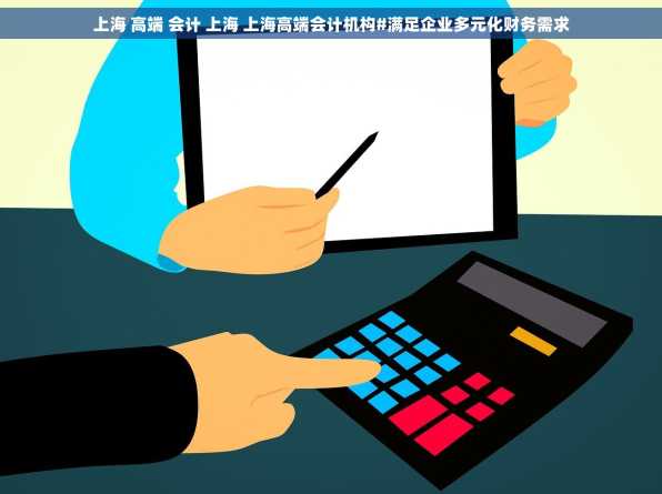 上海 高端 会计 上海 上海高端会计机构#满足企业多元化财务需求