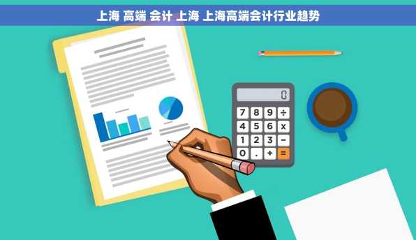 上海 高端 会计 上海 上海高端会计行业趋势