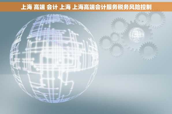 上海 高端 会计 上海 上海高端会计服务税务风险控制
