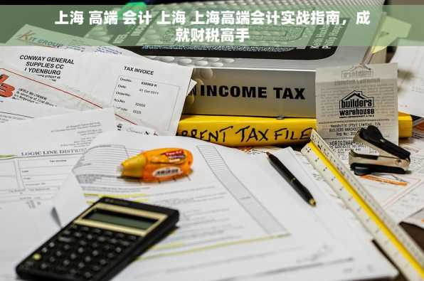 上海 高端 会计 上海 上海高端会计实战指南，成就财税高手
