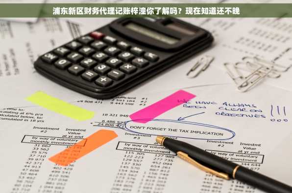浦东新区财务代理记账梓潼你了解吗？现在知道还不晚