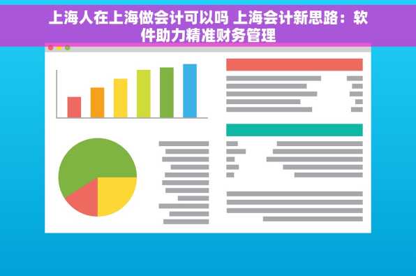 上海人在上海做会计可以吗 上海会计新思路：软件助力精准财务管理