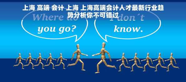上海 高端 会计 上海 上海高端会计人才最新行业趋势分析你不可错过