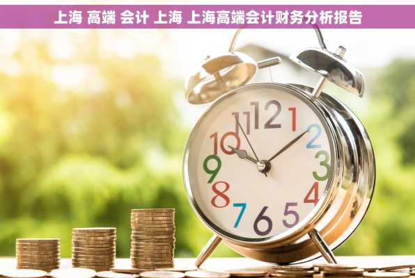 上海 高端 会计 上海 上海高端会计财务分析报告
