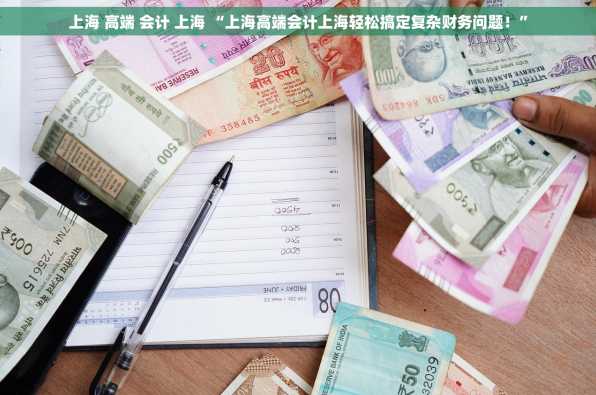 上海 高端 会计 上海 “上海高端会计上海轻松搞定复杂财务问题！”