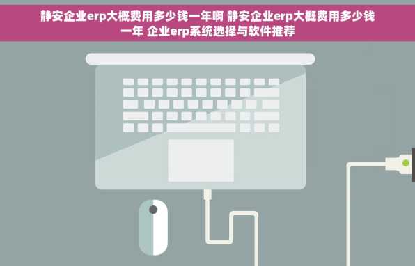 静安企业erp大概费用多少钱一年啊 静安企业erp大概费用多少钱一年 企业erp系统选择与软件推荐