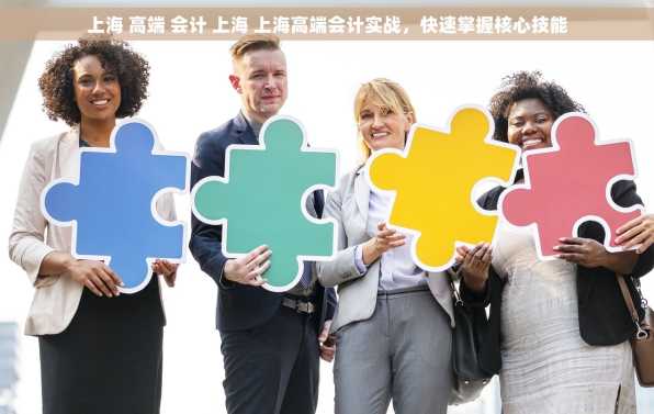 上海 高端 会计 上海 上海高端会计实战，快速掌握核心技能