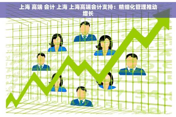 上海 高端 会计 上海 上海高端会计支持：精细化管理推动增长