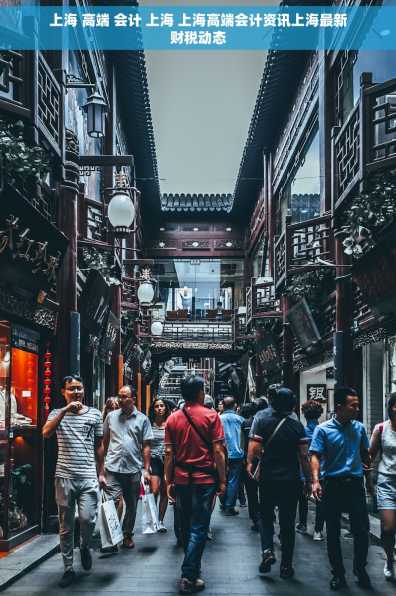 上海 高端 会计 上海 上海高端会计资讯上海最新财税动态