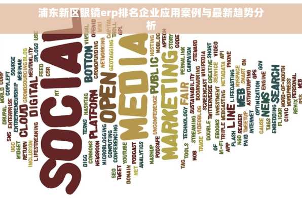 浦东新区眼镜erp排名企业应用案例与最新趋势分析