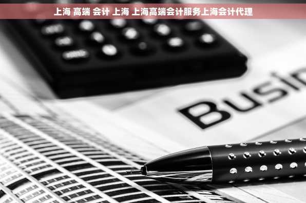 上海 高端 会计 上海 上海高端会计服务上海会计代理