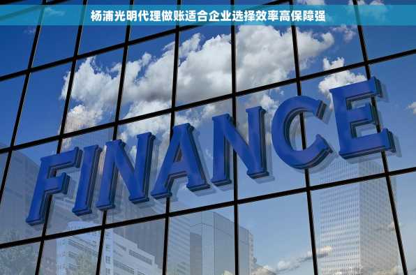 杨浦光明代理做账适合企业选择效率高保障强