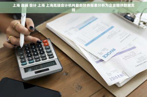 上海 高端 会计 上海 上海高端会计机构最新财务报表分析为企业提供数据支持