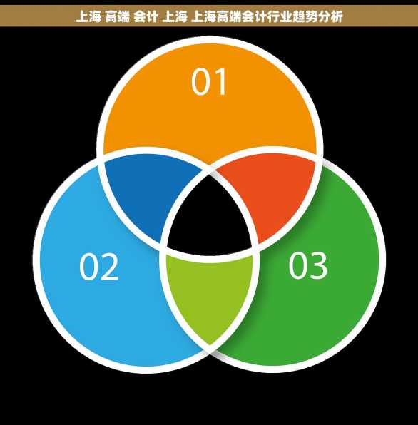 上海 高端 会计 上海 上海高端会计行业趋势分析