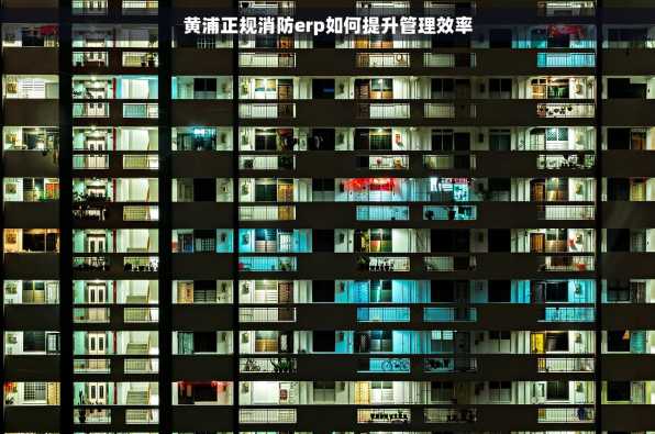 黄浦正规消防erp如何提升管理效率