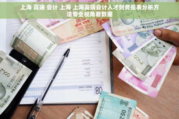 上海 高端 会计 上海 上海高端会计人才财务报表分析方法专业视角看数据
