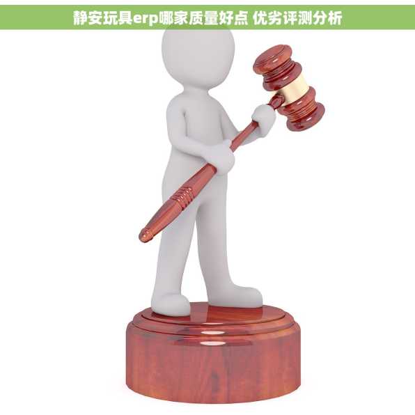 静安玩具erp哪家质量好点 优劣评测分析
