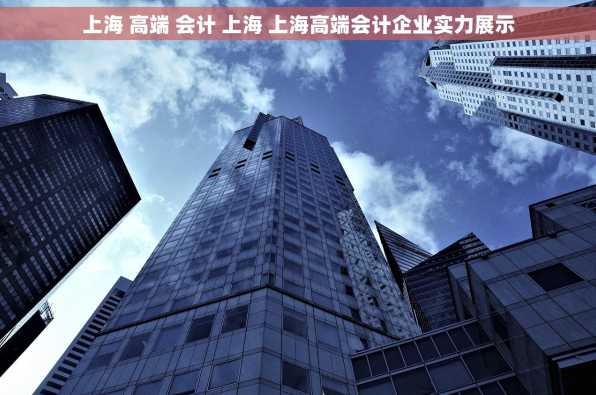 上海 高端 会计 上海 上海高端会计企业实力展示