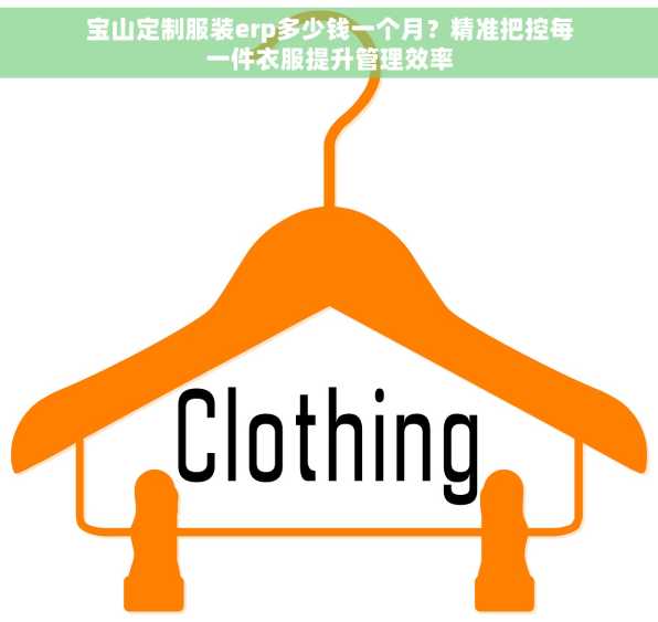 宝山定制服装erp多少钱一个月？精准把控每一件衣服提升管理效率