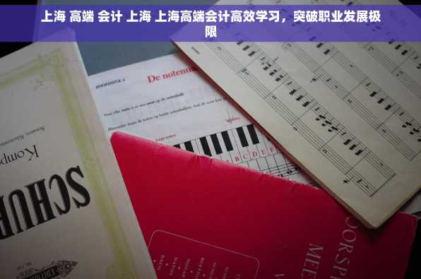 上海 高端 会计 上海 上海高端会计高效学习，突破职业发展极限