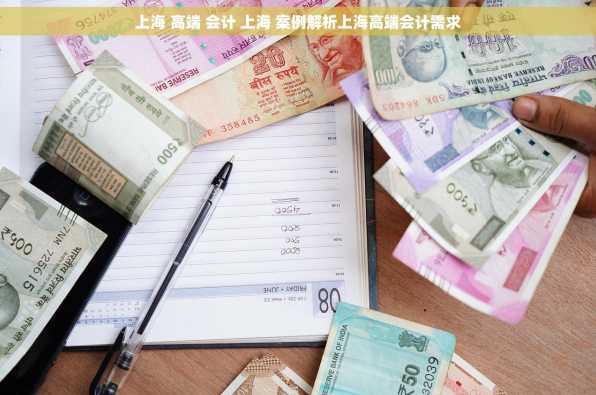 上海 高端 会计 上海 案例解析上海高端会计需求