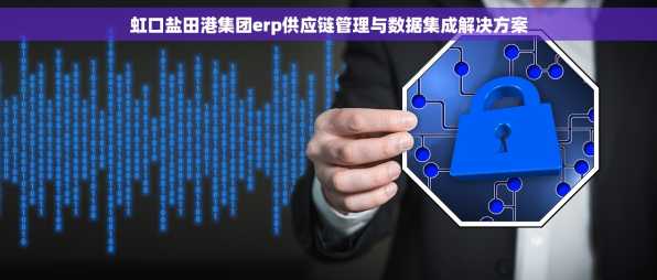 虹口盐田港集团erp供应链管理与数据集成解决方案