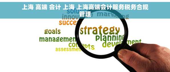 上海 高端 会计 上海 上海高端会计服务税务合规管理