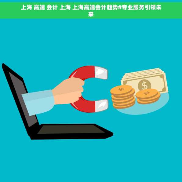 上海 高端 会计 上海 上海高端会计趋势#专业服务引领未来