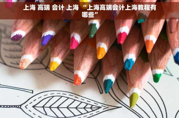 上海 高端 会计 上海 “上海高端会计上海教程有哪些”