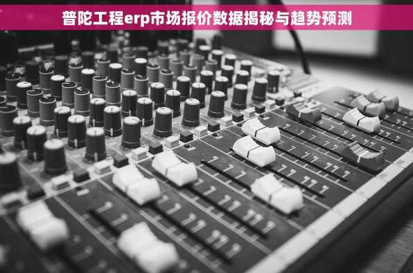 普陀工程erp市场报价数据揭秘与趋势预测