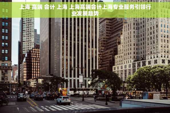 上海 高端 会计 上海 上海高端会计上海专业服务引领行业发展趋势