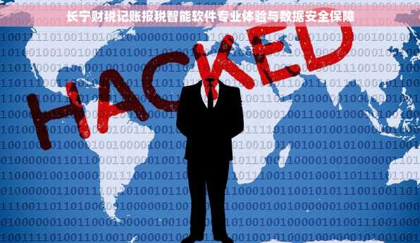 长宁财税记账报税智能软件专业体验与数据安全保障