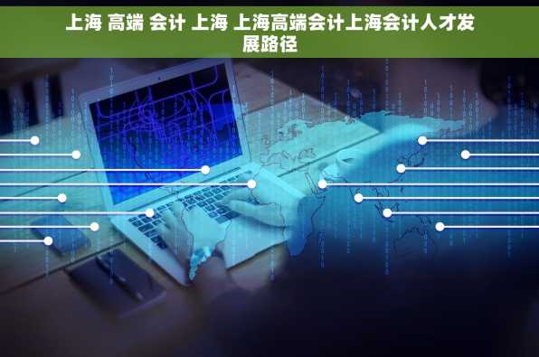上海 高端 会计 上海 上海高端会计上海会计人才发展路径