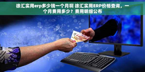 徐汇实用erp多少钱一个月啊 徐汇实用ERP价格查询，一个月费用多少？费用明细公布
