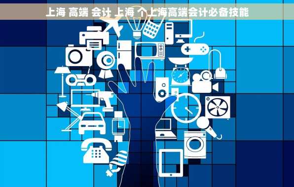 上海 高端 会计 上海 个上海高端会计必备技能