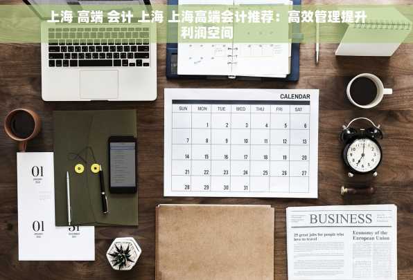 上海 高端 会计 上海 上海高端会计推荐：高效管理提升利润空间