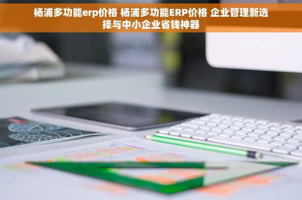 杨浦多功能erp价格 杨浦多功能ERP价格 企业管理新选择与中小企业省钱神器