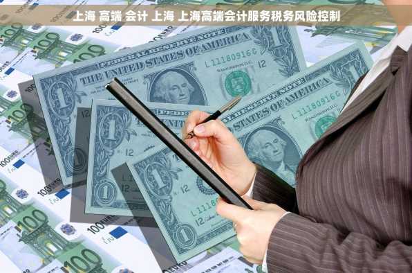 上海 高端 会计 上海 上海高端会计服务税务风险控制