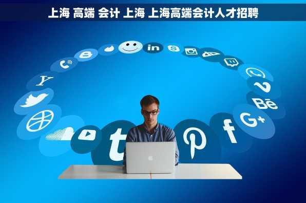 上海 高端 会计 上海 上海高端会计人才招聘
