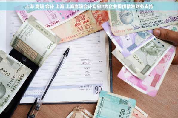 上海 高端 会计 上海 上海高端会计专家#为企业提供精准财务支持