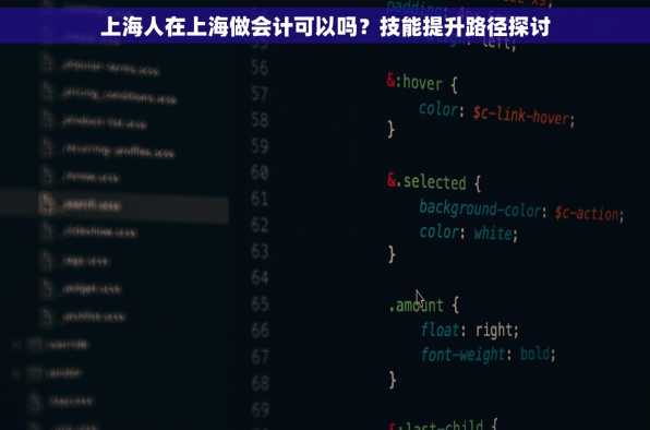 上海人在上海做会计可以吗？技能提升路径探讨